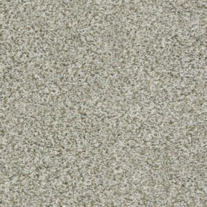 BREAK AWAY (T) by Shaw Floors - Snow Peak