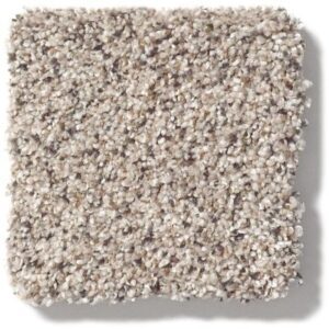 TAKE THE FLOOR ACCENT II by Shaw Floors - Riverbed