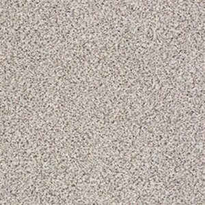 TAKE THE FLOOR ACCENT I by Shaw Floors - Italiano