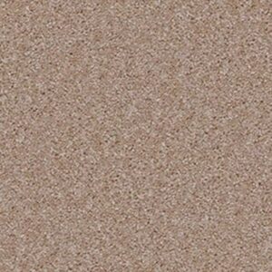 JET SET by Shaw Floors - Crisp Linen