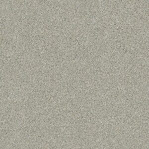 BOUNDLESS II by Shaw Floors - Soft Breeze