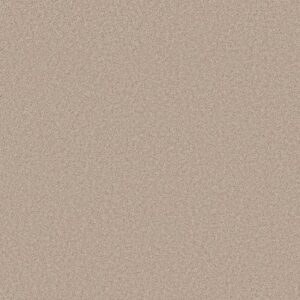 HARMONIOUS II by Shaw Floors - Heirloom