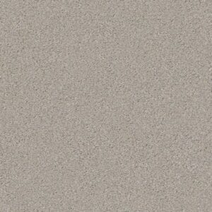 BOUNDLESS III by Shaw Floors - Reflection