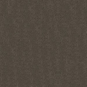 BOUNDLESS I by Shaw Floors - Cabana