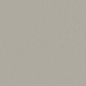 FINE TAPESTRY by Shaw Floors - Split Sediment