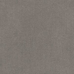 INTRICATE TRACE by Shaw Floors - Vintage