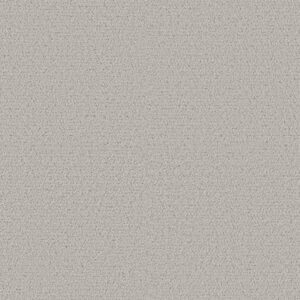 INTRICATE TRACE by Shaw Floors - Cashmere