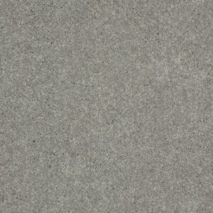 WELL PLAYED I 12' by Shaw Floors - Nickel