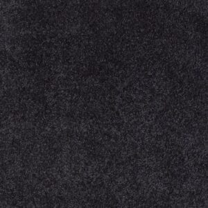 WHAT'S UP by Shaw Floors - Stunning Navy