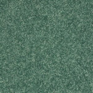 KID CROSSING by Shaw Floors - Leap Frog
