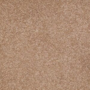 CORNER CAFE 15' by Shaw Floors - Muffin