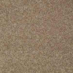MY CHOICE II by Shaw Floors - Saffron
