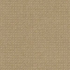 MY CHOICE PATTERN by Shaw Floors - Clay Stone