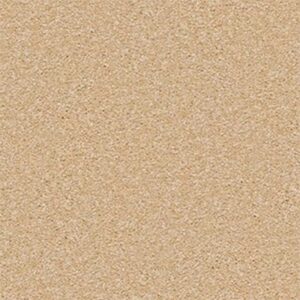 SANDY HOLLOW CLASSIC IV 12' by Shaw Floors - Cornfield