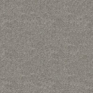 FINE STRUCTURE by Shaw Floors - Burma Brown