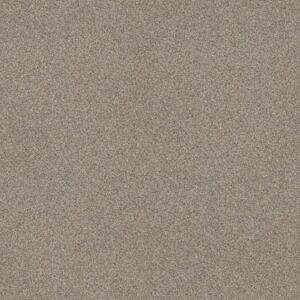 DELICATE DISTINCTION CLASSIC III by Shaw Floors - Drizzle