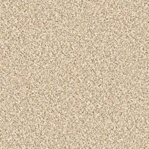 DELICATE DISTINCTION CLASSIC II by Shaw Floors - Toasted Grain