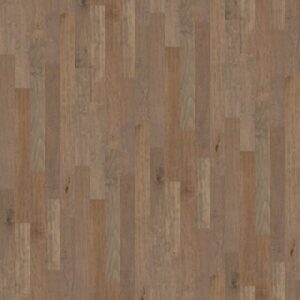 CORAL SPRINGS by Shaw Floors - Oceanside