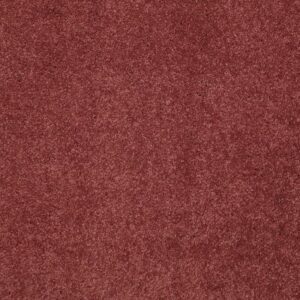 QUIET COMFORT CLASSIC I by Shaw Floors - Cranberry