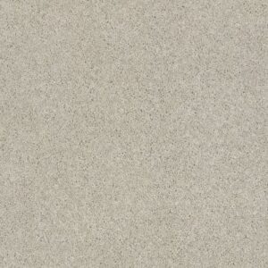 QUIET COMFORT CLASSIC I by Shaw Floors - Spearmint