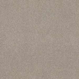 ACROSS THE BAY by Shaw Floors - Shale