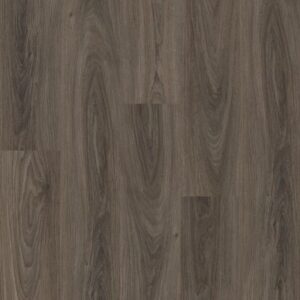 Anvil Plus 20 MIL by Shaw Floors - Dark Elm