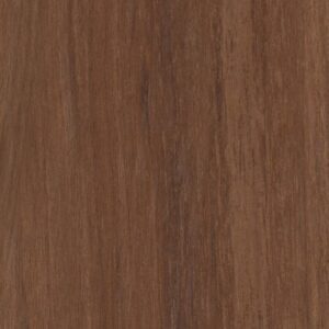 Endura Plus by Shaw Floors - Amber Oak