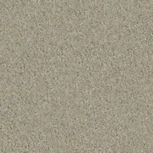 INSPIRED BY I by Shaw Floors - Cityscape