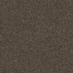 EMBARK by Shaw Floors - Graphite