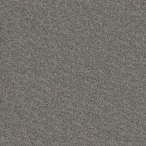 CHALLENGE ACCEPTED I 12' by Shaw Floors - Thunder