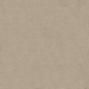 EMBARK by Shaw Floors - Frost
