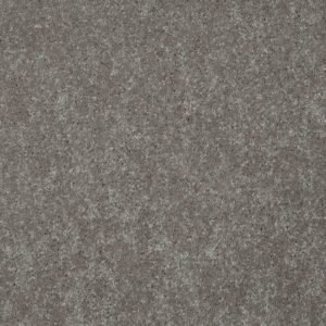 STEP RIGHT UP II 12' by Shaw Floors - Mocha Frost