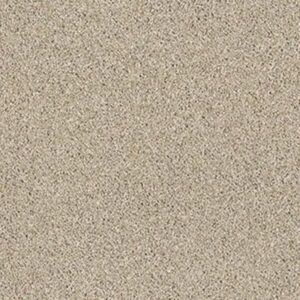 ALWAYS MINE by Shaw Floors - Clay