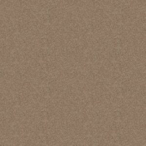 DYERSBURG CLASSIC 12' by Shaw Floors - Plaster