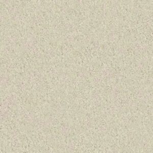 STEP RIGHT UP II 12' by Shaw Floors - Fresco