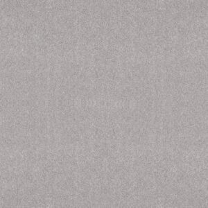 ALL OVER IT II by Shaw Floors - Dove