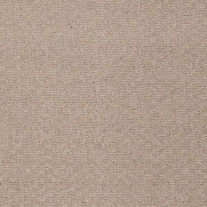 LATEST TREND by Philadelphia Commercial - Boulder