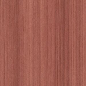 Color Range 5 by Shaw Floors - Coral