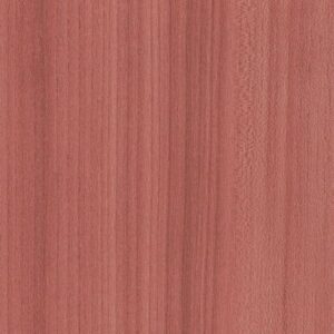 Color RangeILLE by Shaw Floors - Coral