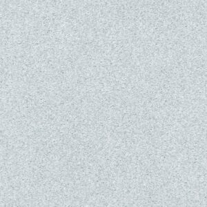 TONAL COMFORT II by Shaw Floors - Bay Waves