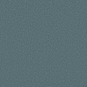 TONAL COMFORT II by Shaw Floors - Life Of The Party