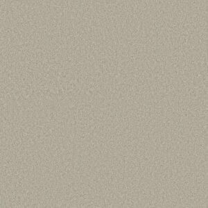 TONAL COMFORT II by Shaw Floors - Need A Hug
