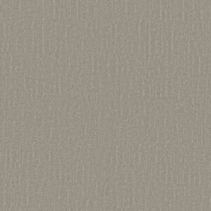 ENDLESS MEMORIES by Shaw Floors - Back Patio