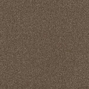 FIRST STEP by Dreamweaver - Chocolate 812