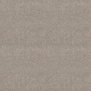FIND YOUR COMFORT TA I by Shaw Floors - Online Date (A)
