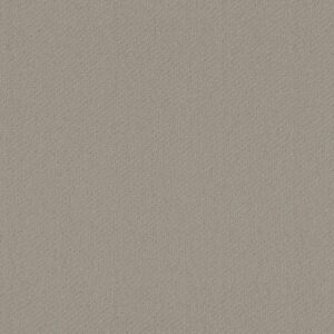 SQUARE ONE by Shaw Floors - Cold Water