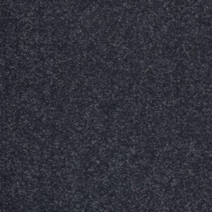 SHINGLE CREEK II 12' by Shaw Floors - Dutch Boy