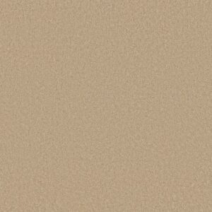 LOYAL BEAUTY III by Shaw Floors - Mesa