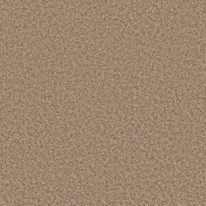 COLOR FLAIR by Shaw Floors - Toast