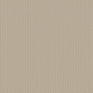 ACTIVATE by Shaw Floors - Canvas